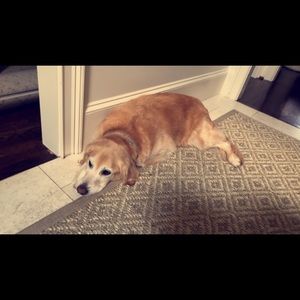 Meet your Posher, Corinne